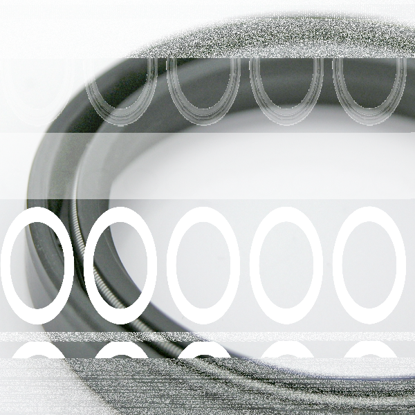 Fork Oil Seals, pair (IT)