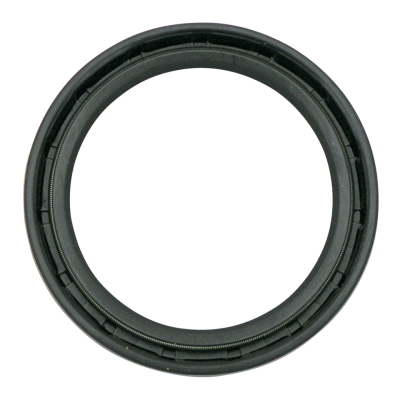 Fork Oil Seals, pair (IT)
