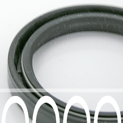 Fork Oil Seals, pair (IT)