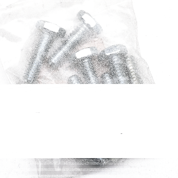 10pck hex bolt 1/4-20x7/8" UNC zinc (IT)