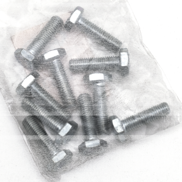 10pck hex bolt 1/4-28x7/8" UNF zinc (IT)