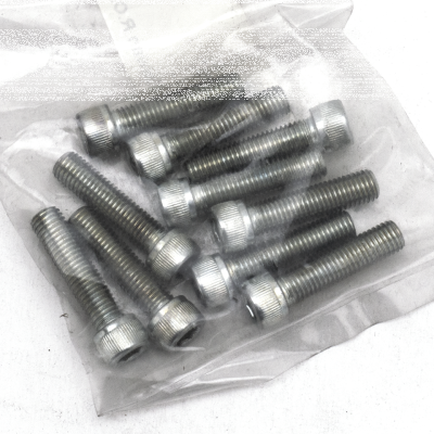 GZP 10pck allen bolt 1/4-28x1" zinc (IT)