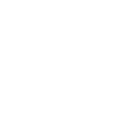 Optimate male Auto plug to SAE connector (IT)