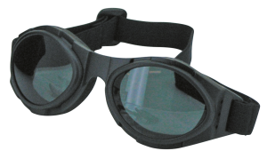 BugEye II Interchangable Goggles (IT)