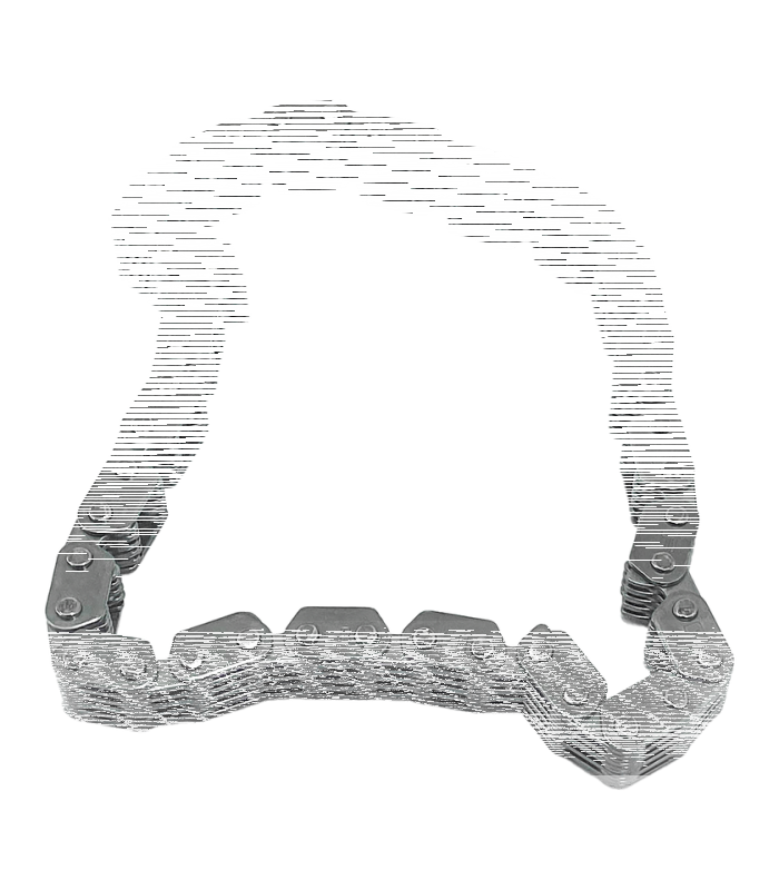 Cam chain, primary TC99-06 (IT)