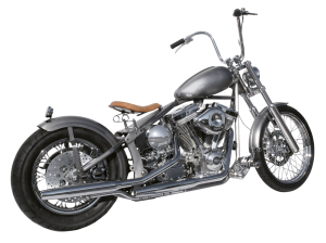 SoftBob Package deal bike V80ci (IT)