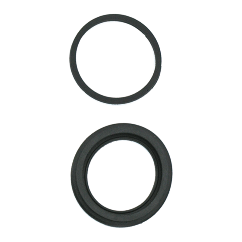 CALIPER SEAL KIT RR FLH/T79-85 (IT)