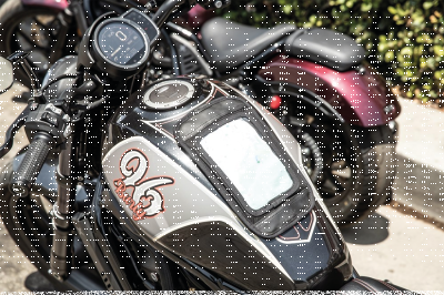 Burly Voyager Tank Pad Black (IT)