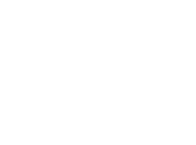 Natural Starter 1.8kW BT94-06 (IT)