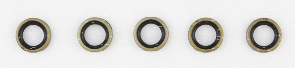 5PCK FXD06-17 TC07-17 SHIFT SHAFT SEAL (IT)