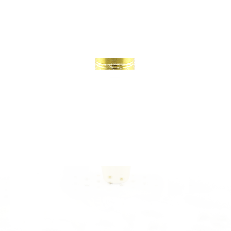 Valve guide IN EVO/TC/XL 7mm +.025" hi-l (IT)