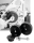 Jims Main 5-Speed main bearing remover (IT)