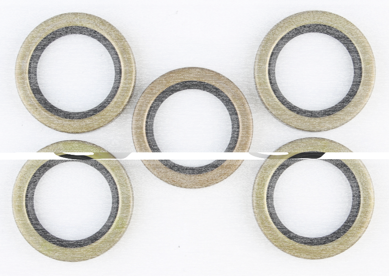 5pck double lip oil seal mainshaft (IT)