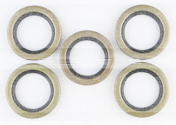 5pck double lip oil seal mainshaft (IT)