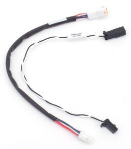 TBW extension 12" BT16-up (IT)