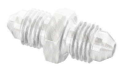 Adaptor stainless 2x AN-3 male (IT)