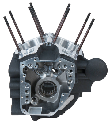 S&S Crankcase assy stock blck FXD06-17 (IT)