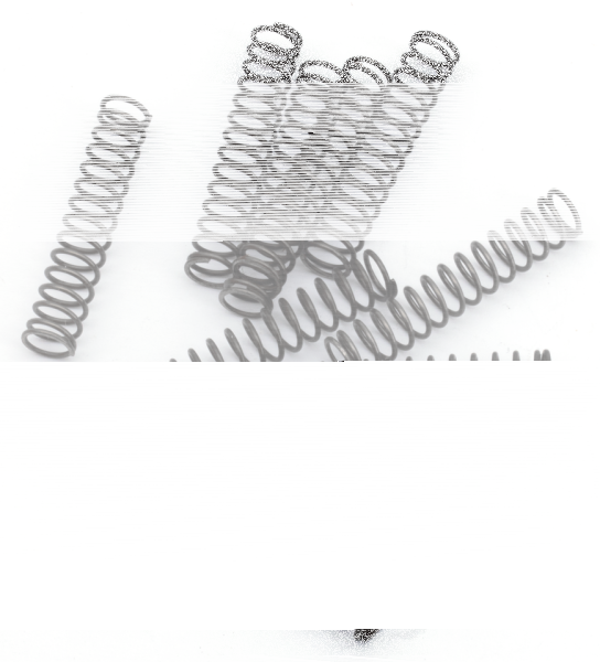 10pck pawl spring (IT)