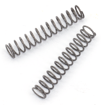 Pawl spring, set of 2 (IT)