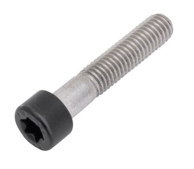 Axle Clamp Screw Matt Blk RA21-Up RH21-u (IT)