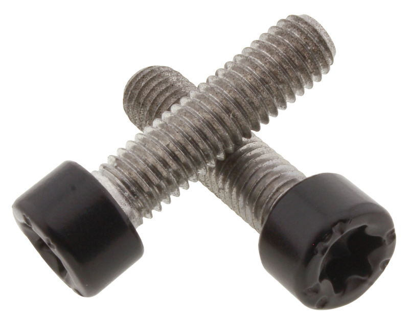 Bar-Ends Bolts RH21-Up (IT)