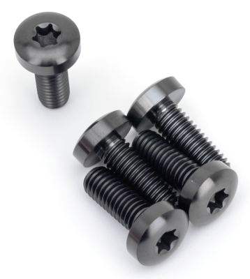 Brake Rotor RR Bolts Titanium Black (IT)