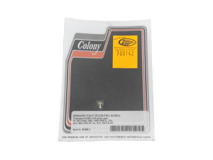 Eccentric screw 47-69 (IT)