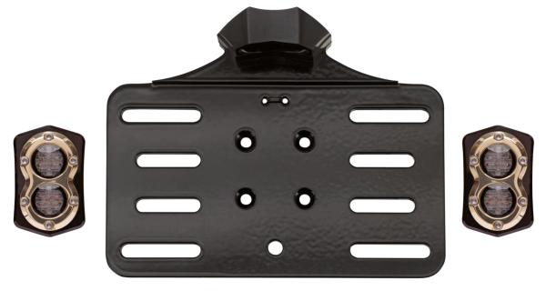 Vitys Taillight/licenseplte kit blk/brs (IT)