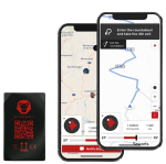 RideLink WingMan IP54 2G/EDGE