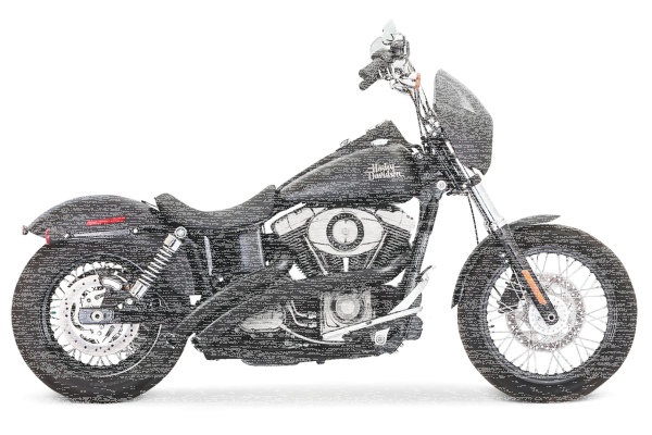 RADICAL X-O STAR BK/SCLP BK FXD06-17 (IT)