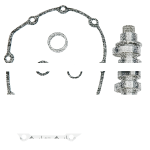 Camshaft Kit Chain Drive 540C ME17-up (IT)