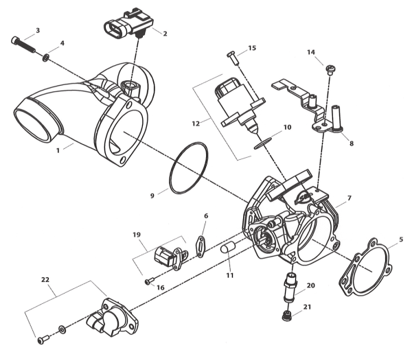 Cap,Canister Purge Fitting (IT)
