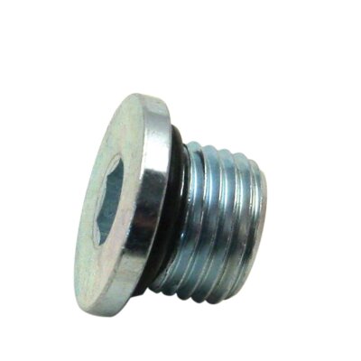 Plug,magnetic,SH 1/2-20 (IT)