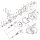 Gear shifter lever (IT)