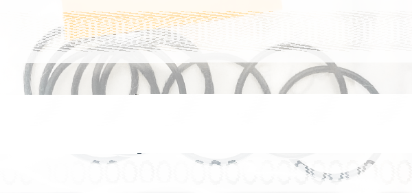 10pck O-ring (IT)