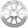 SBS 1 piece Brake disc 11,8"/300mm 2,22" (IT)