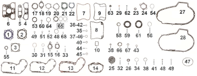 5pck Throttle body-manifold seal Buell (IT)