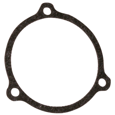 Gasket, Throttle Body, Throttle by Wire, (IT)