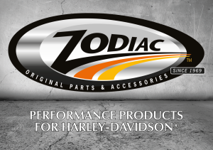 100pck Zodiac Concrete Sticker 105x74mm (IT)