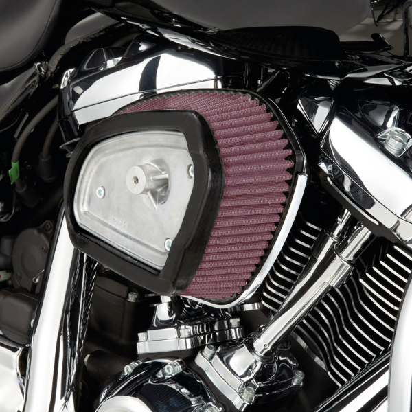 Big Sucker Replacement Filter (IT)