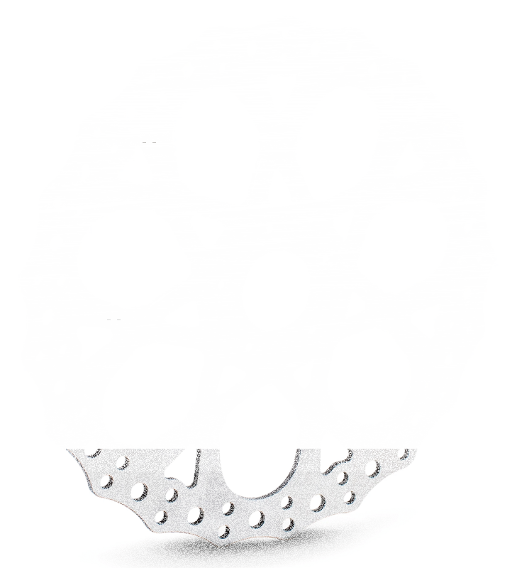 14" Procross Brake Rotor,Black (IT)