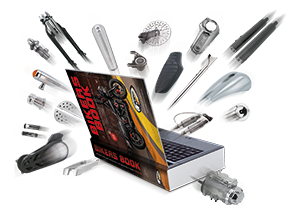 Zero Ohrstecker - Zimmermann gold one-size