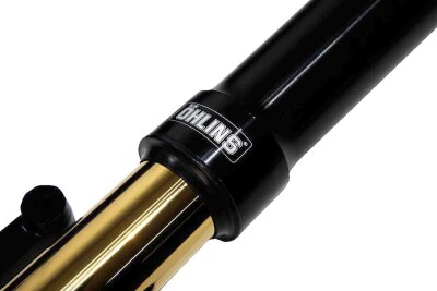Front Fork Cust 48 Blk Cvo Rg/