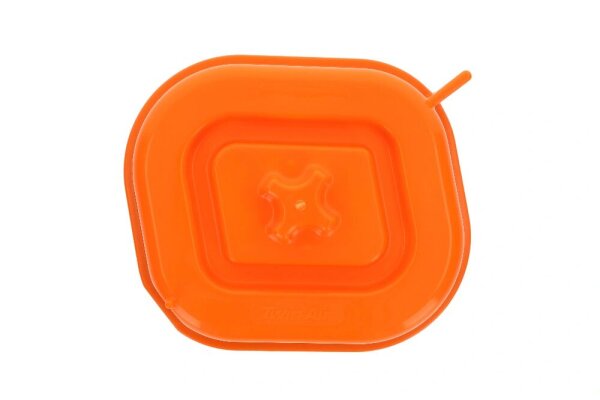 Airbox Cover Triumph 24-