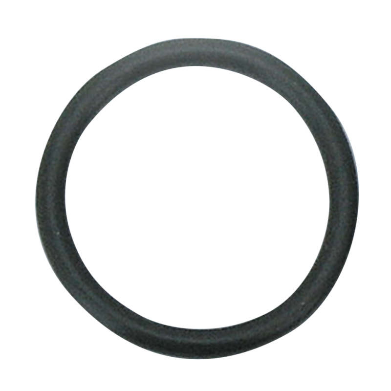 GZP 10pck Fork cap oil seal FL/FXWG (FR)