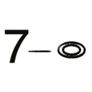 GZP 10pck O-ring drain plug engine (FR)