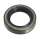 GZP Oil seal shift lever BT86-up XL86-05 (FR)