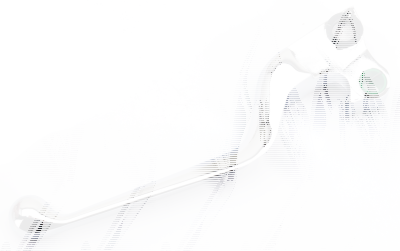 GZP Chrome Ergo AR Clutch lever BT82-up (FR)