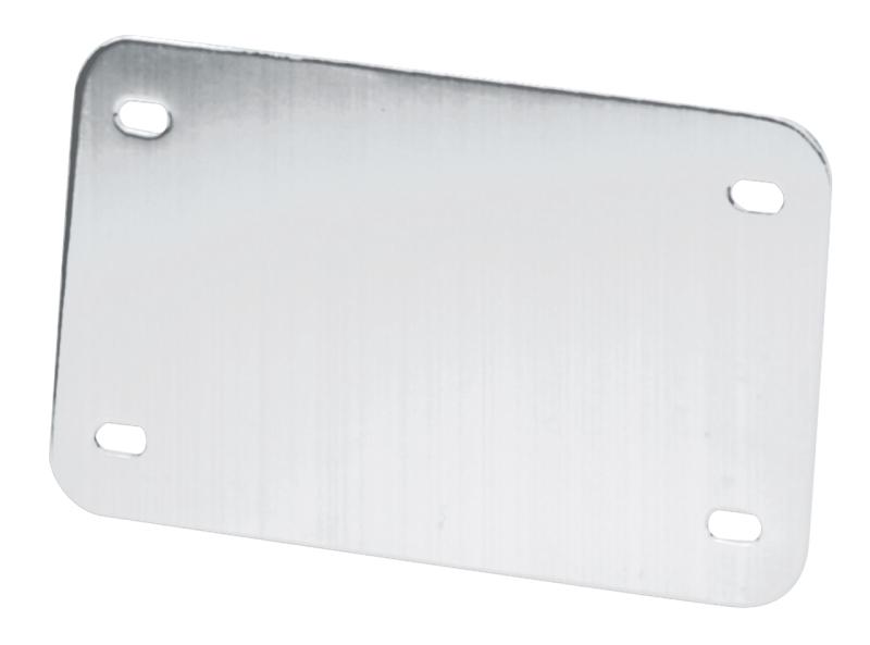 GZP License plate - Backing plate (FR)