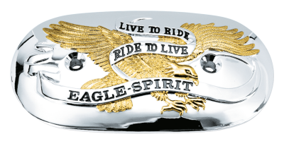GZP Airclnr insert Eagle Spirit GO/CH (FR)